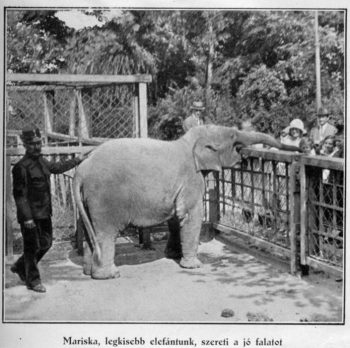 Fekete-fehér fotó egy régi állatkertről